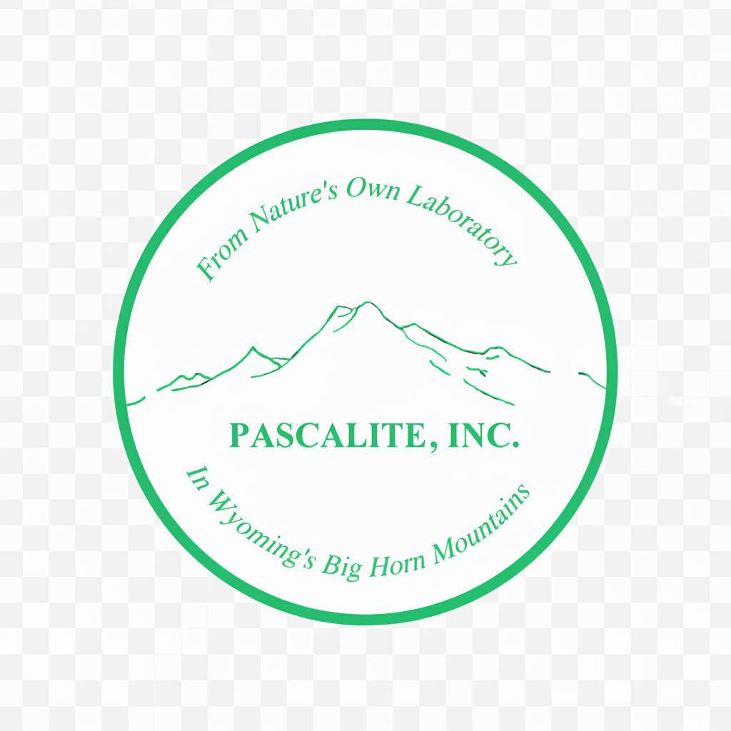 Pascalite, Inc.